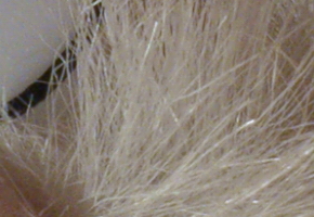 Sony Cyber-shot RX100: terminátor zrcadlovek