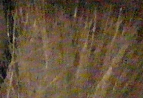 Samsung NX1000: sněhobílý bezdrát