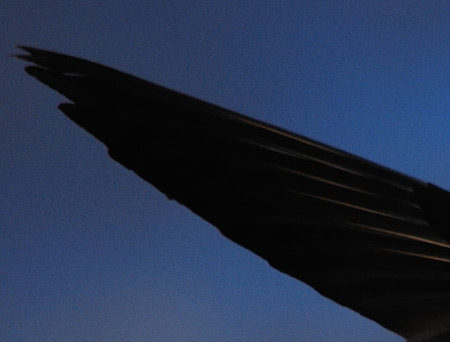 Nikon D40X: v malém těle