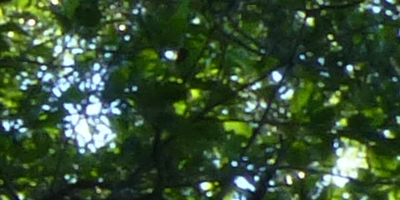 Panasonic Lumix TZ30: pokračovatel slavného rodu?