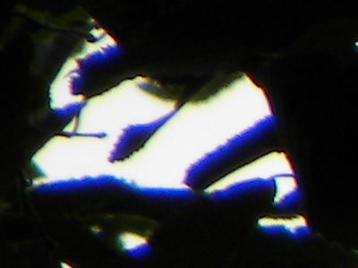 Nikon Coolpix P90: napodruhé mnohem lépe