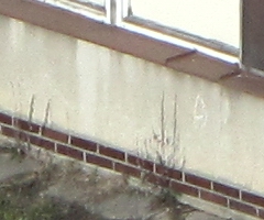 Canon PowerShot SX1 IS vs. SX10 IS: souboj CMOS a CCD