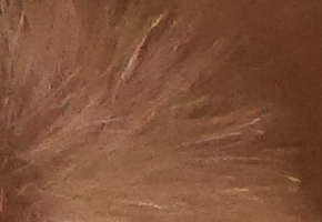 Panasonic Lumix GX7: vymazlený superfoťák