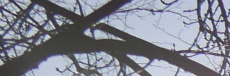 Panasonic Lumix LX100: pozoruhodný profi kompakt