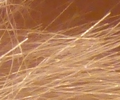 Panasonic Lumix FZ45 a FZ100: na vrcholu