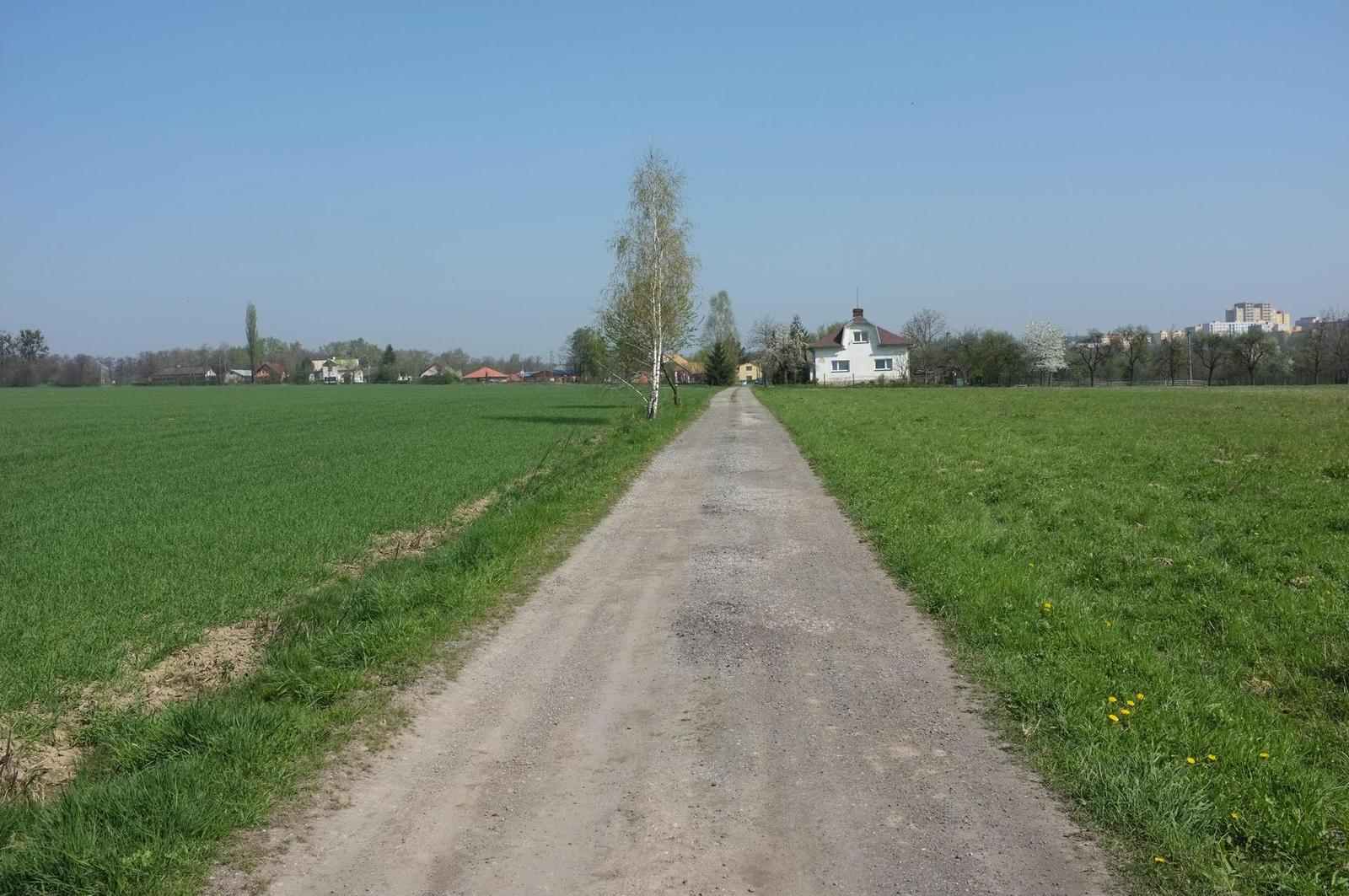 Fujifilm X100: splněný sen