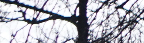 Sony FE 28-70mm F3.5-5.6 OSS (SEL2870)