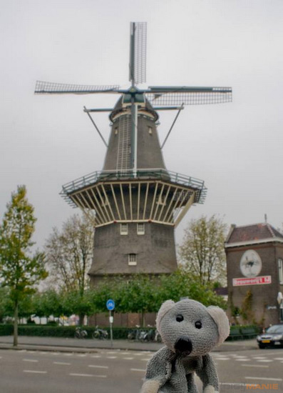 Koala cestuje: Eindhoven a Amsterdam v Holandsku