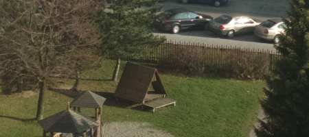 Nokia Lumia 1020 vs. 808 PureView