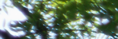 Minolta MC Rokkor-PF 50mm F1.7 (MC/MD)