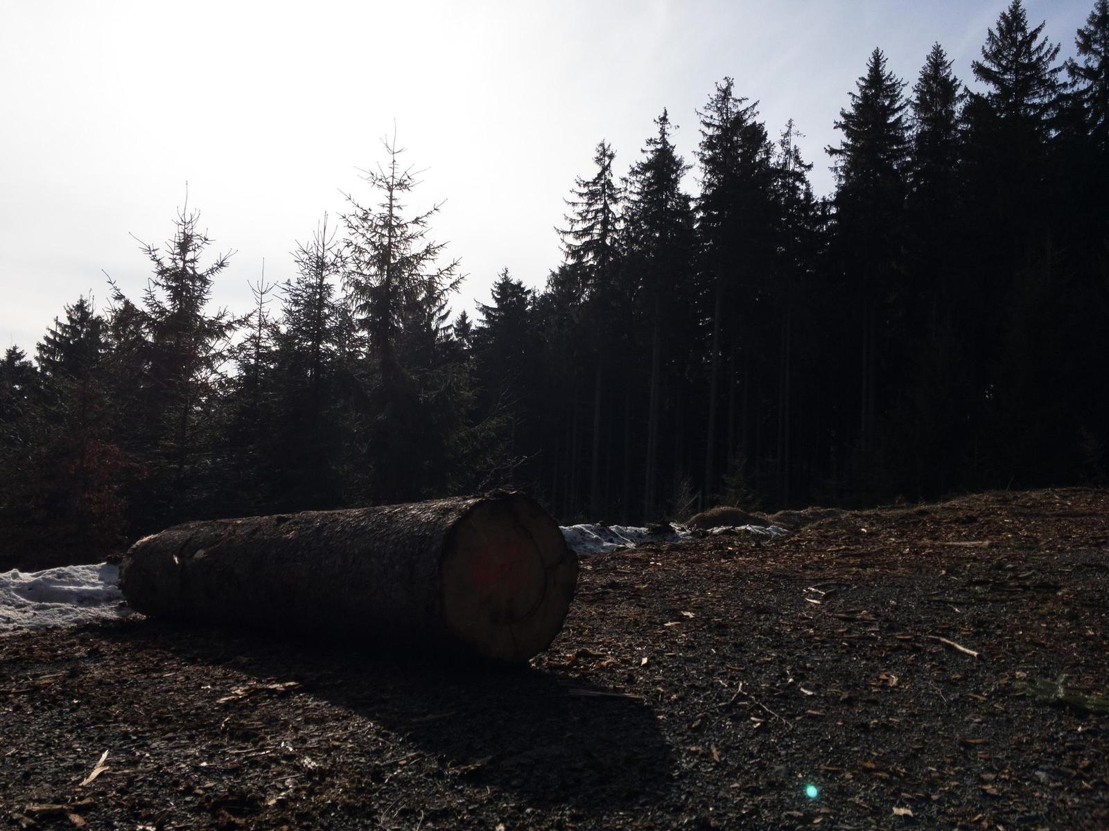 Apple iPhone SE: kompaktní silák