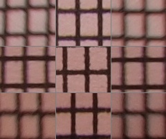 Olympus M.Zuiko Digital 40-150 mm F4-5,6 + nová R verze