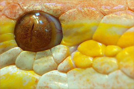 Světlo aneb nástroj každého fotografa - 3. díl