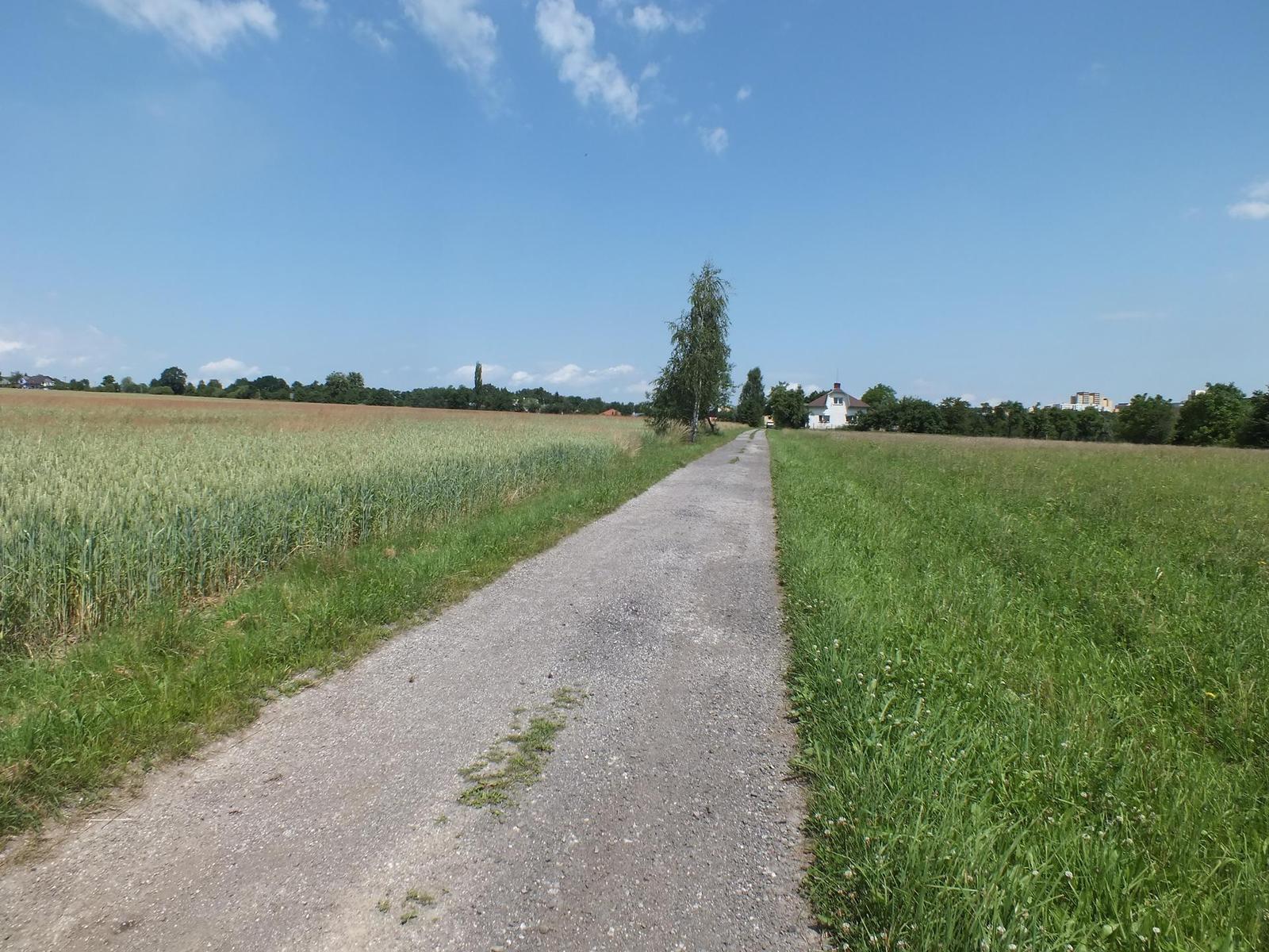 Fujifilm FinePix HS20EXR: důstojný nástupce