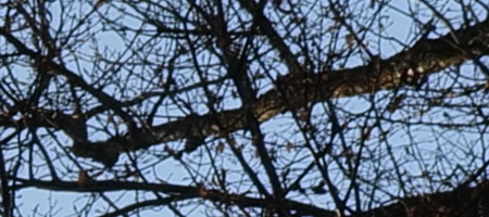 Panasonic Lumix S 20-60mm F3.5-5.6