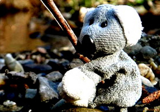 Fotíme s Koalou: Software, RAWy, obrazové formáty