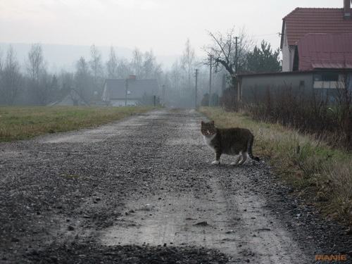 Canon IXUS 200 IS: poprvé dotykově