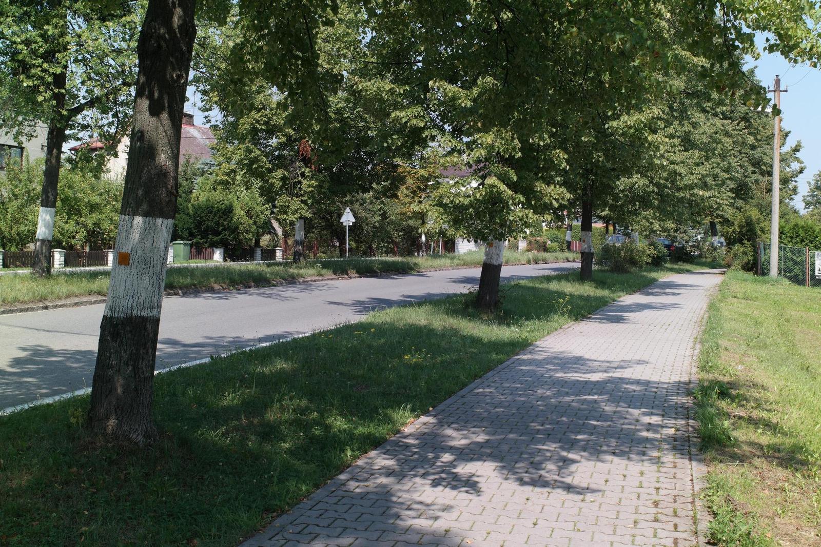 Olympus OM Zuiko 28mm f/2.8 (OM)