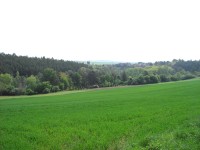 Konica Minolta Dimage E50 - pro každého něco...