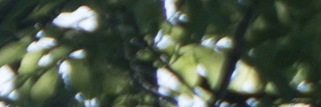 Sony E PZ 18-105mm F4 G OSS (SELP18105G)