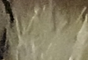 Sony Cyber-shot HX20V: umí snad všechno