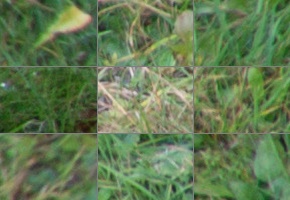 Nikon AF-P DX Nikkor 70-300 mm f/4,5-6,3G ED VR