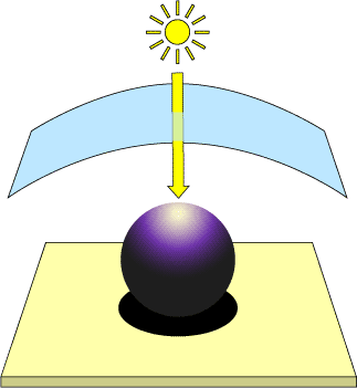 Fotografování lidí – 2.díl: na slunci