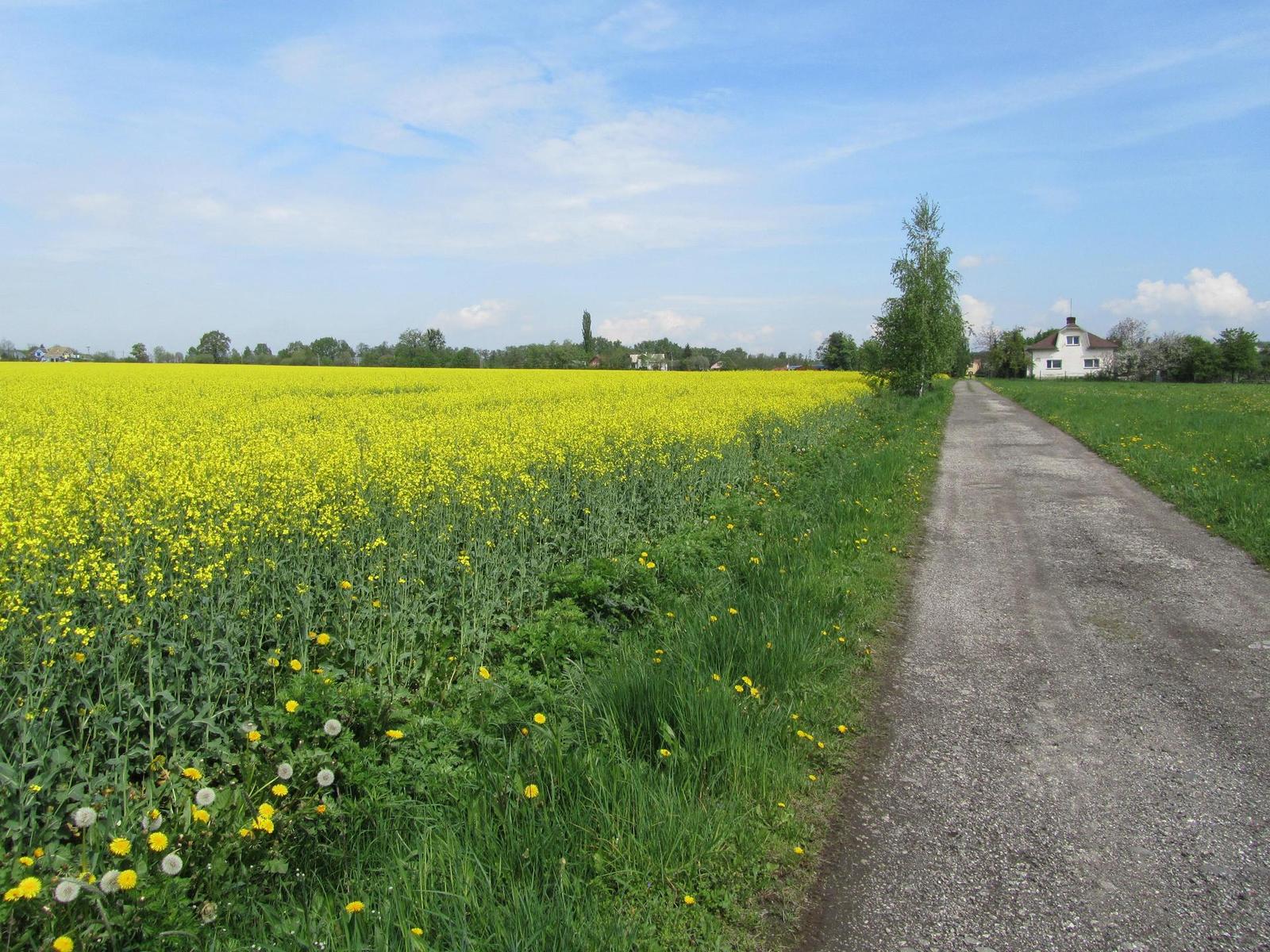 Canon PowerShot SX210 IS: s překvapivou zbraní