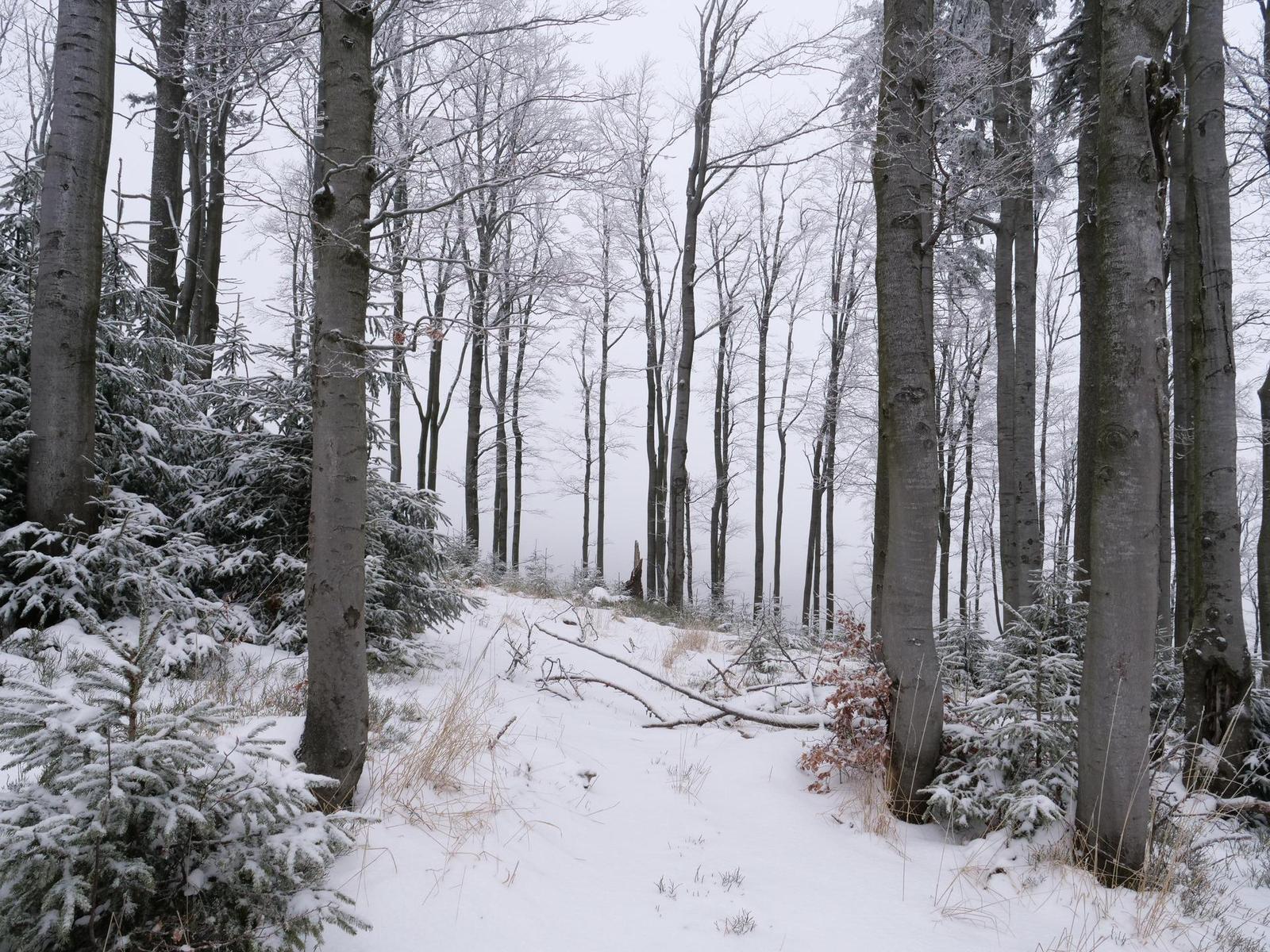 Panasonic Lumix G9: skutečně výborný