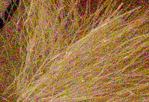 Nikon Coolpix A: velmi příjemná (ne)výraznost