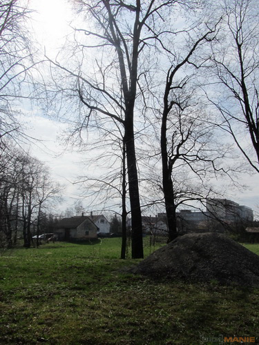 Canon PowerShot SX130 IS: levný všeuměl