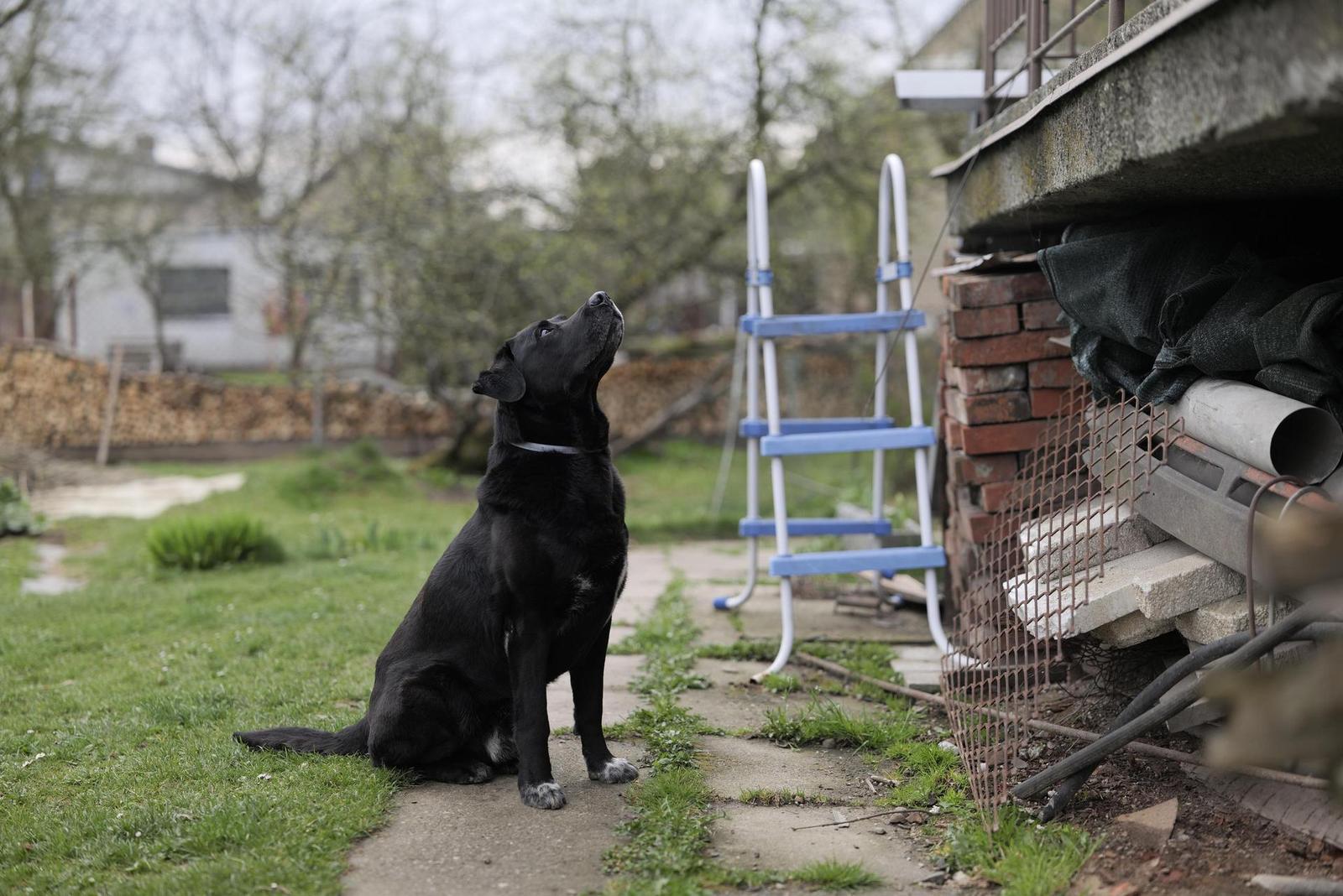 Panasonic Lumix S Pro 50mm F1.4