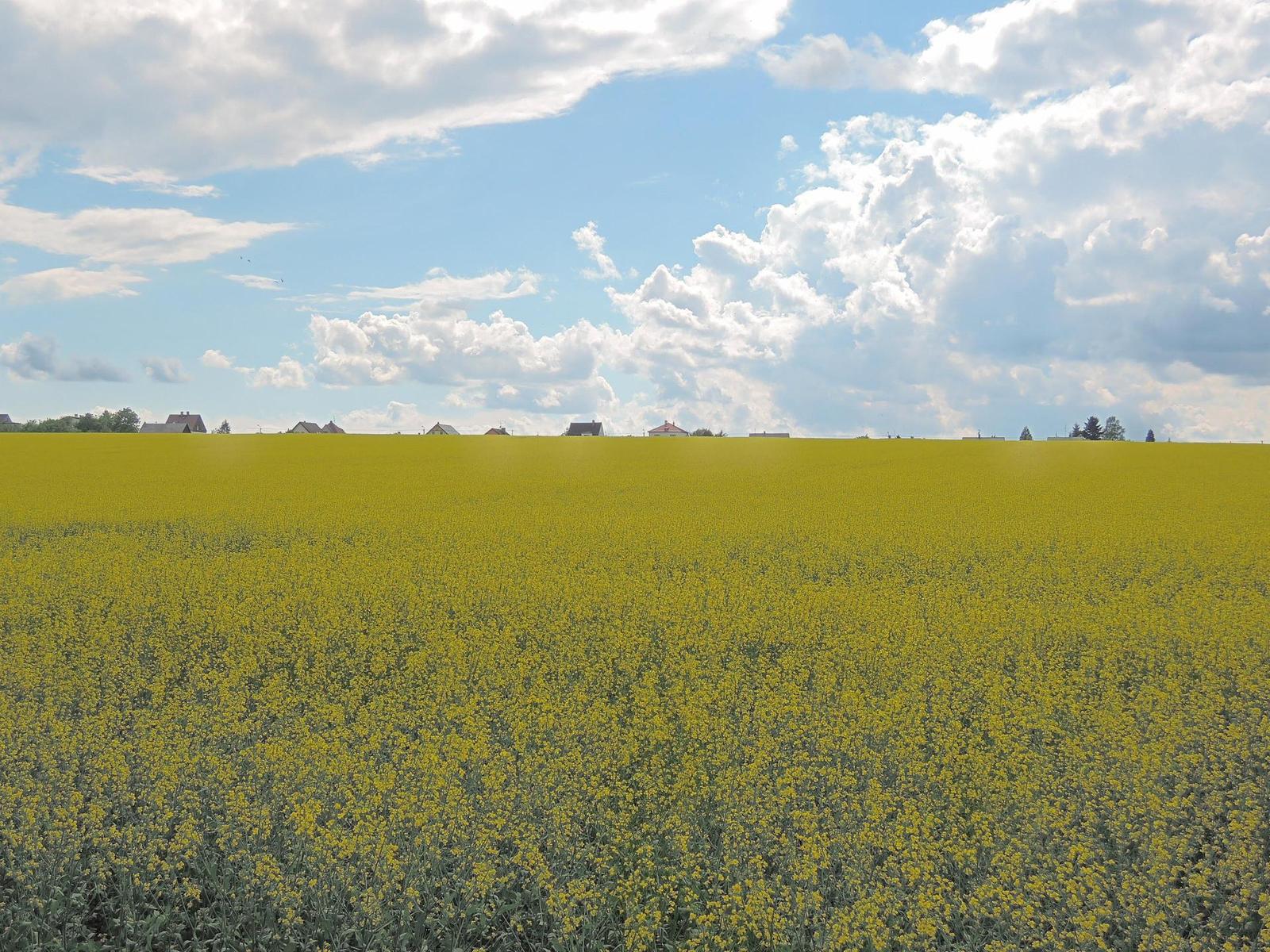 Nikon Coolpix P330: do vyšších sfér