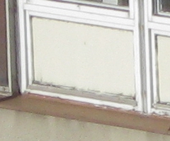 Canon PowerShot A1000 IS: ve stínu předchůdce