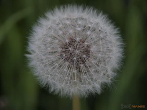 Olympus M.Zuiko Digital 14-150 mm F4-5,6