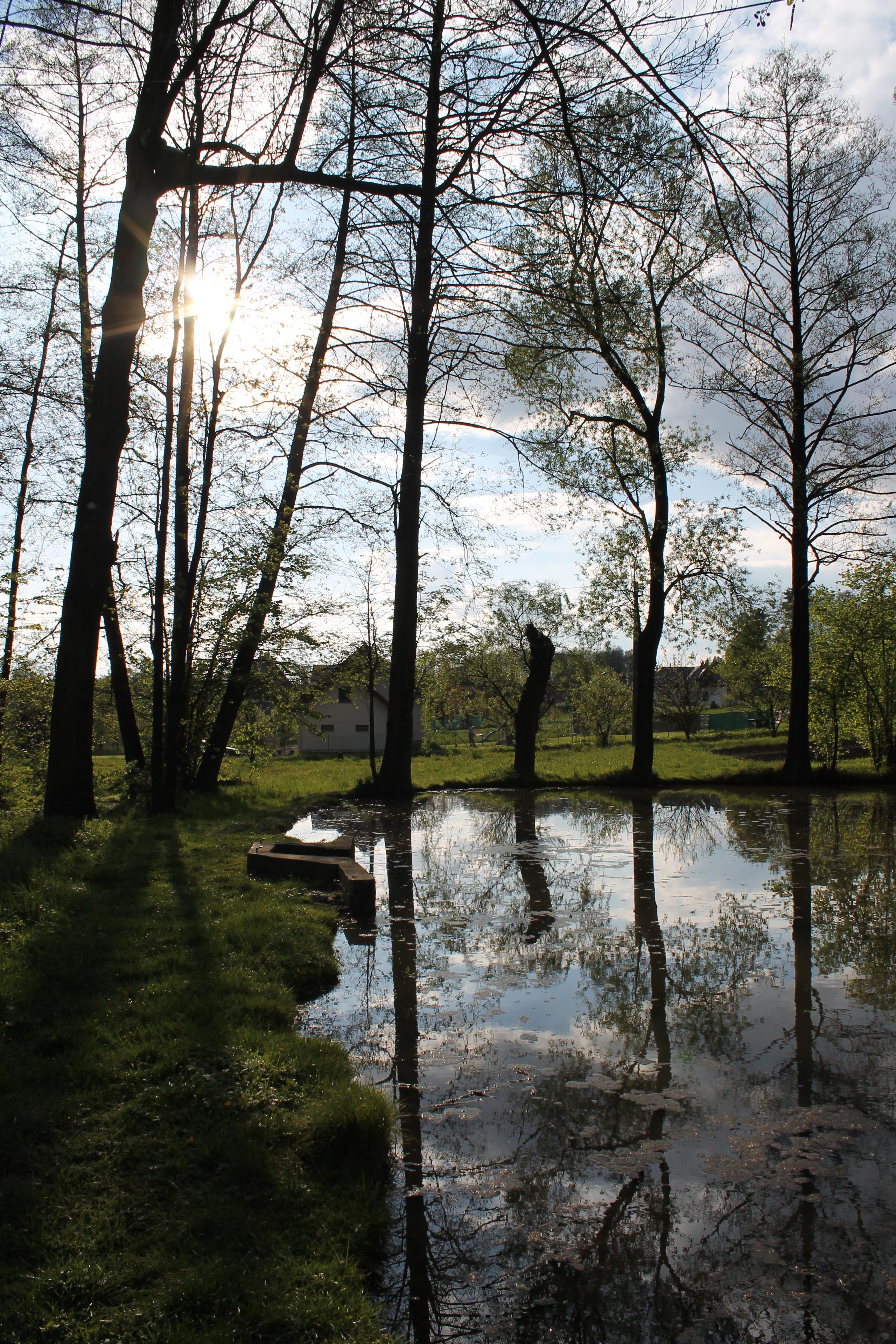 Canon EOS 1100D: vstup do světa DSLR
