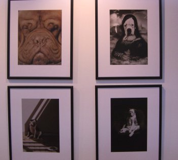 Bude Interkamera i příští rok...?