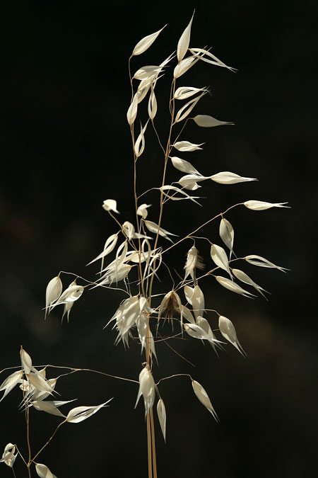 DSLR na cestě časem - 10. díl