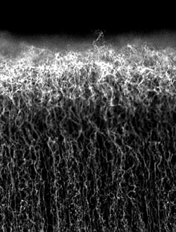 Baterie budoucnosti dobité v řádu vteřin?