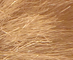 Canon PowerShot SX1 IS vs. SX10 IS: souboj CMOS a CCD