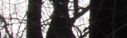 Canon EF-S 18-135mm f/3.5-5.6 IS Nano USM