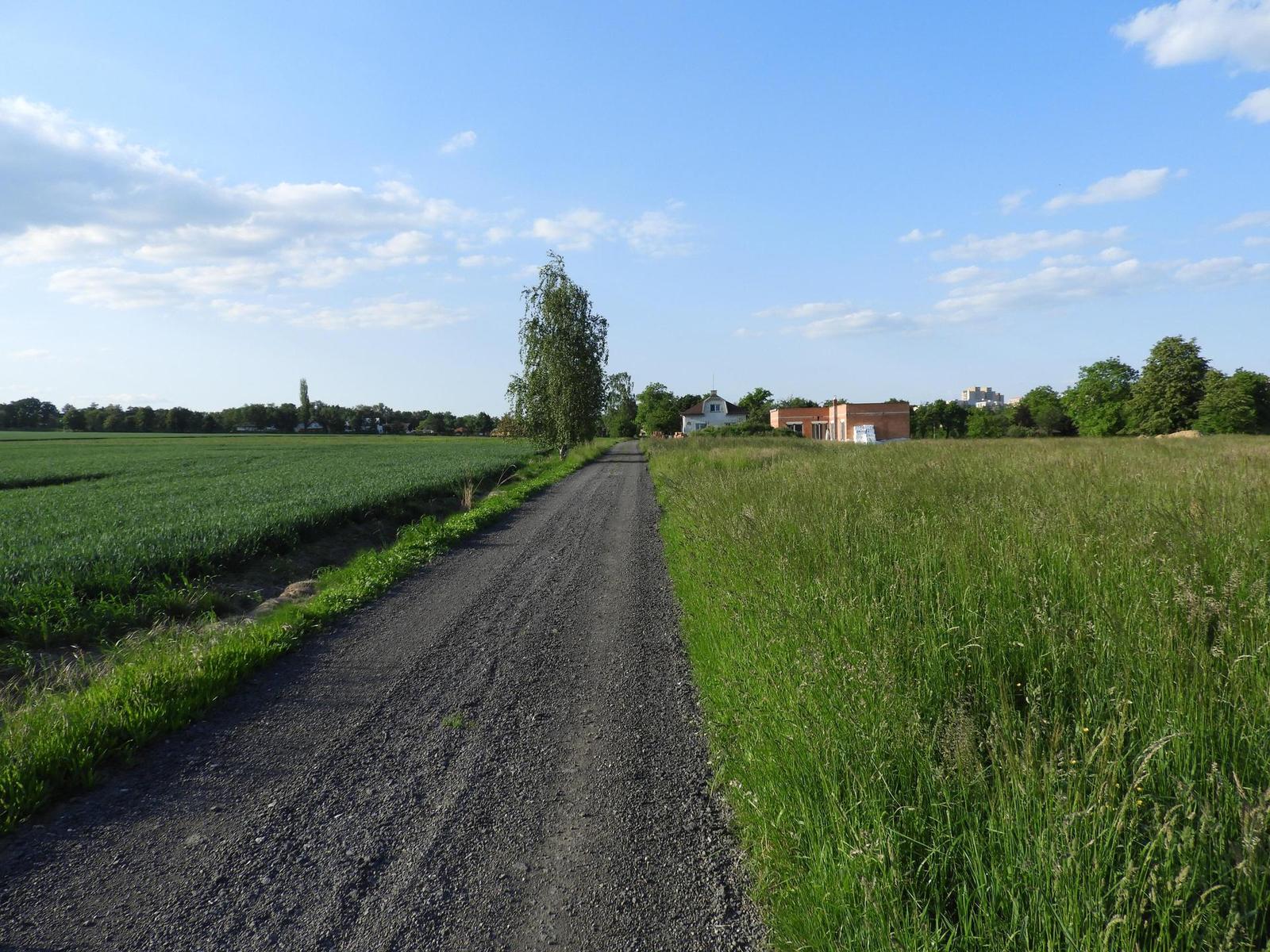 Nikon Coolpix B700: přírodovědec