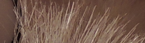 Nikon Coolpix P510: lovec rekordů