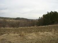 Casio Exilim Card EX-S600: Asijský plátek na fotografický způsob