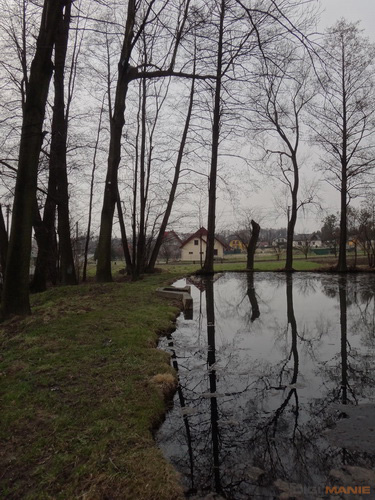 Sony Cyber-shot TX10: odolný zálesák