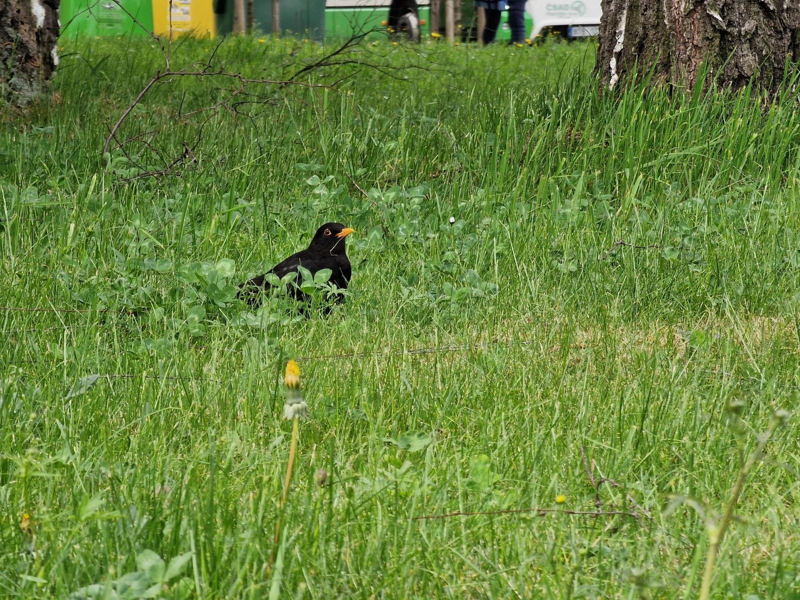 Samsung Galaxy S22 Ultra: pětioký fotografický král?