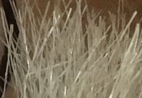 Sony Cyber-shot HX20V: umí snad všechno