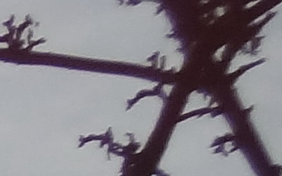 Sony Cyber-shot WX7: překoná skvělou WX5?