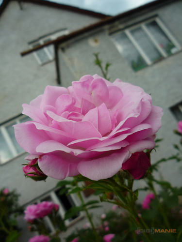 Panasonic Lumix LZ10: překvapivý všeuměl