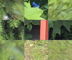 Nikon Coolpix P510: lovec rekordů